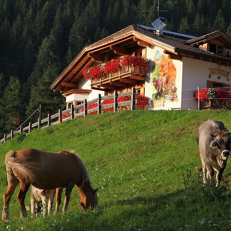 Agritur Fior Di Bosco Hotel Valfloriana Esterno foto