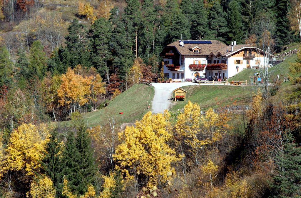 Agritur Fior Di Bosco Hotel Valfloriana Esterno foto