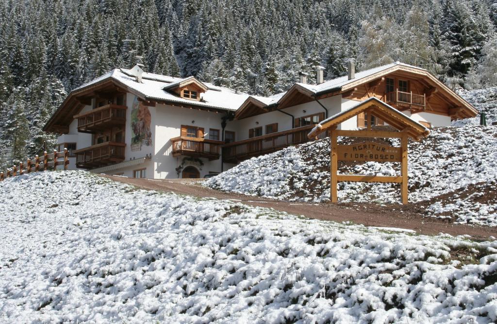 Agritur Fior Di Bosco Hotel Valfloriana Esterno foto
