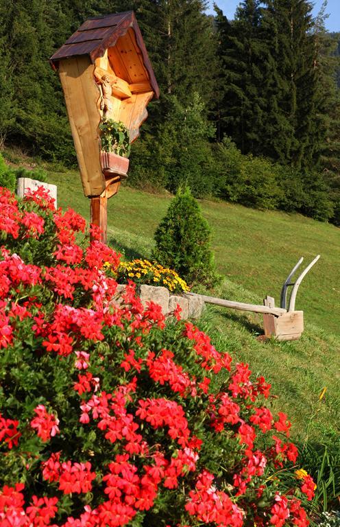 Agritur Fior Di Bosco Hotel Valfloriana Esterno foto